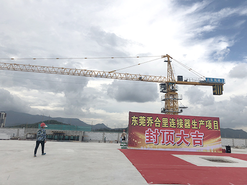 珠海塔式起重机